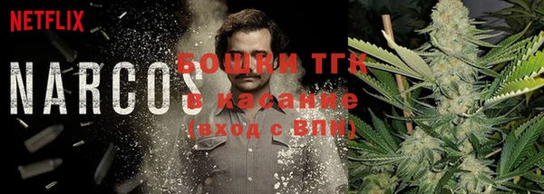 apvp Мегион