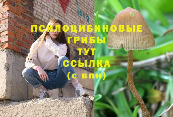 мескалин Михайловка
